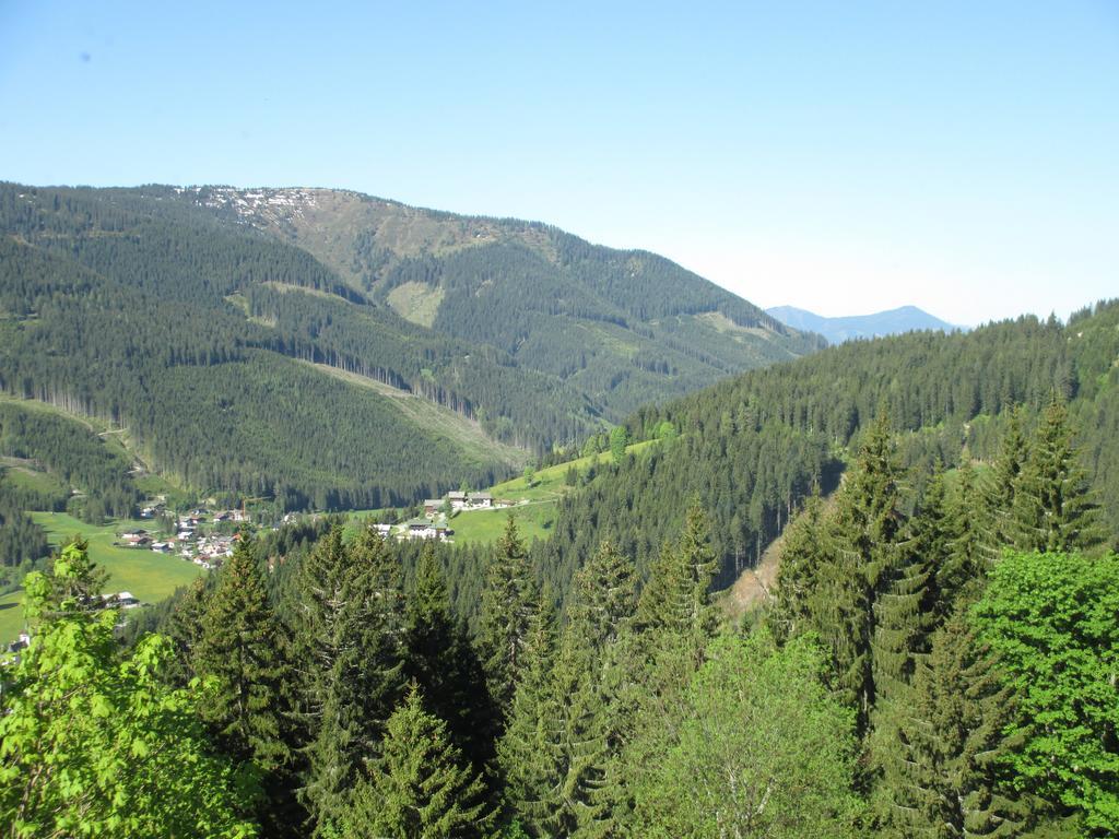 Haus Ellbrunn * Filzmoos